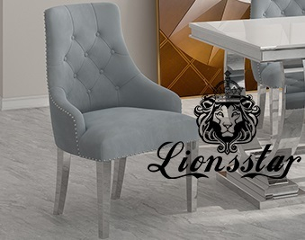 Luxus Stuhl Loft Design Silber