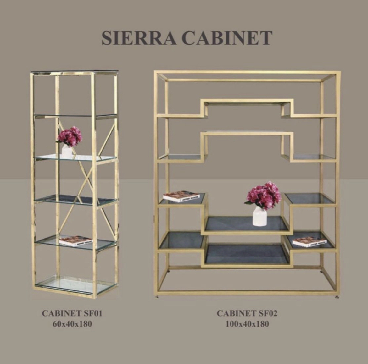 Designer Vitrine Aurum Speco